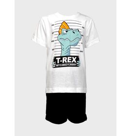 Σετ"T-REX"