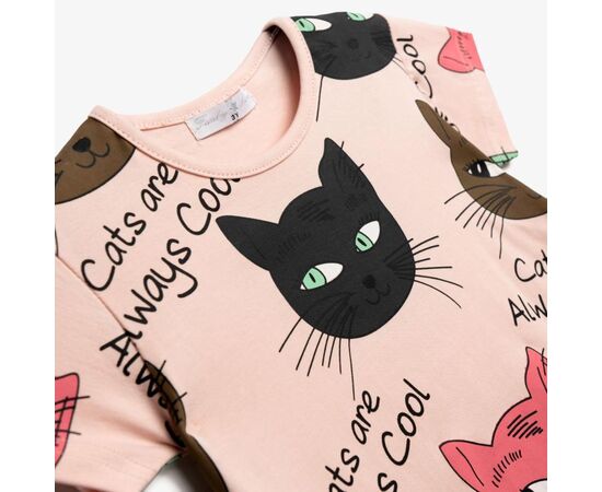 Σετ"CATS"