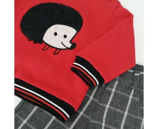 Σετ " RED HEDGEHOG"
