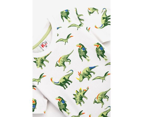 Σετ"GREEN DINO"